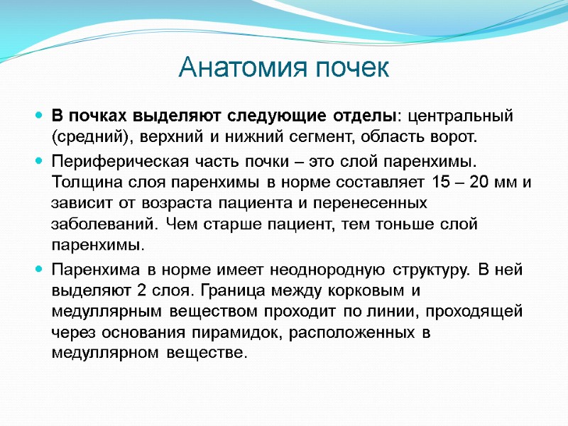 Анатомия почек В почках выделяют следующие отделы: центральный (средний), верхний и нижний сегмент, область